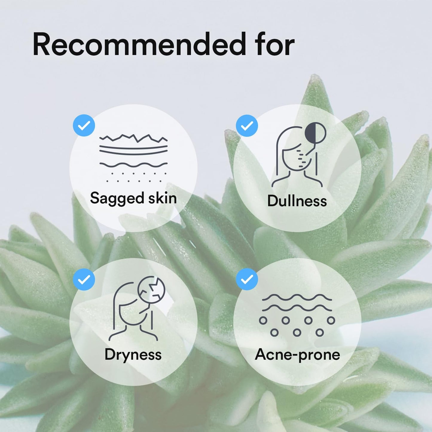 Abib Collagen Gel Mask #Sedum Jelly (4pc)