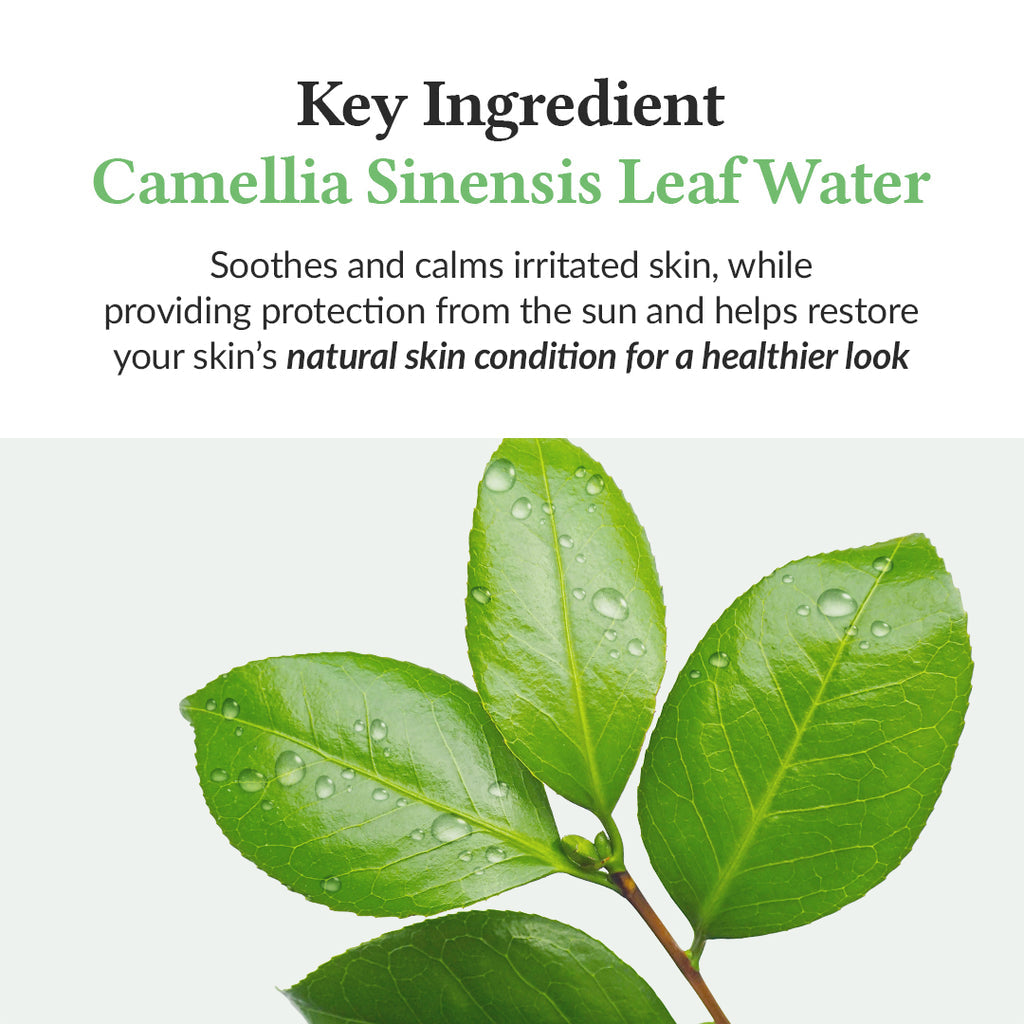 Dr. Althea Green Tea Fresh Sunscreen 45mL