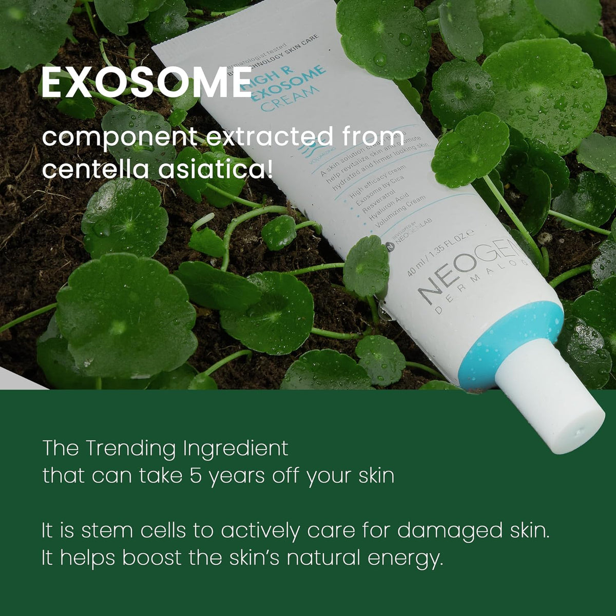 NEOGEN Dermalogy High R Exosome Cream 40mL