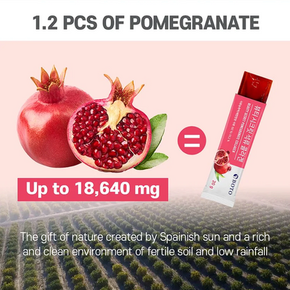 BOTO Beauty Secret Pomegranate Collagen [20g x 15 sticks]