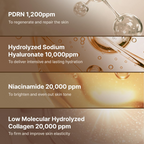 REJUALL All Advanced PDRN Rejuvenating Cream 20g