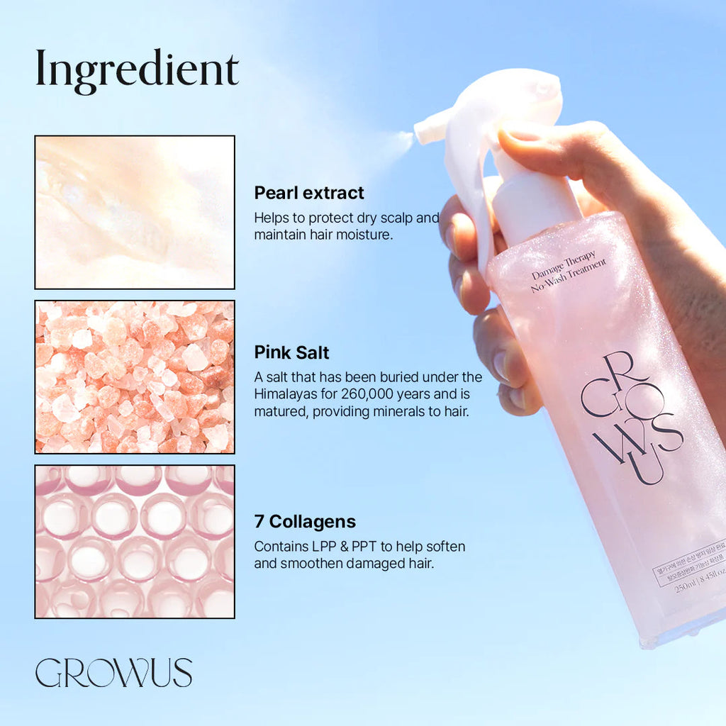 GROWUS Damage Therapy No-wash Treatment  250g