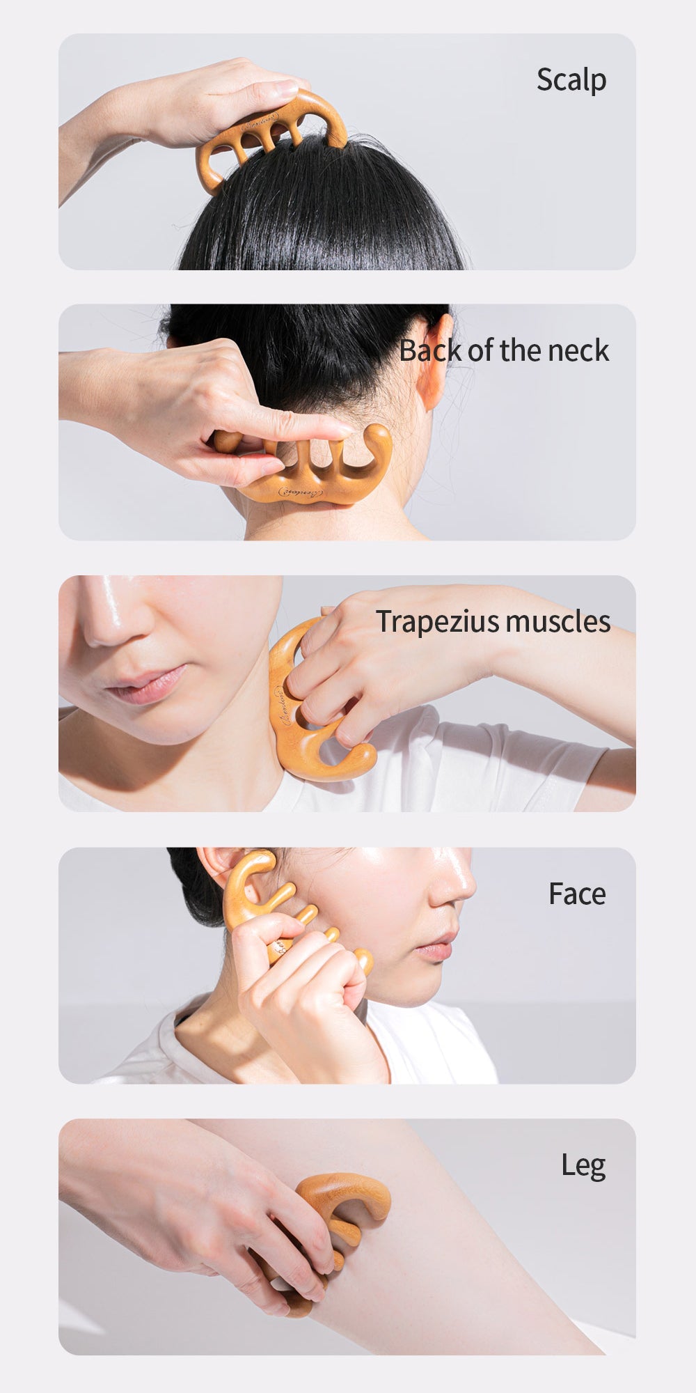 Benton Wood Scalp Brush Massager