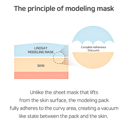 LINDSAY Re:Natural Modeling Mask