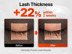 lilyeve Grow Turn Exosome Dual Lash Serum 8mL