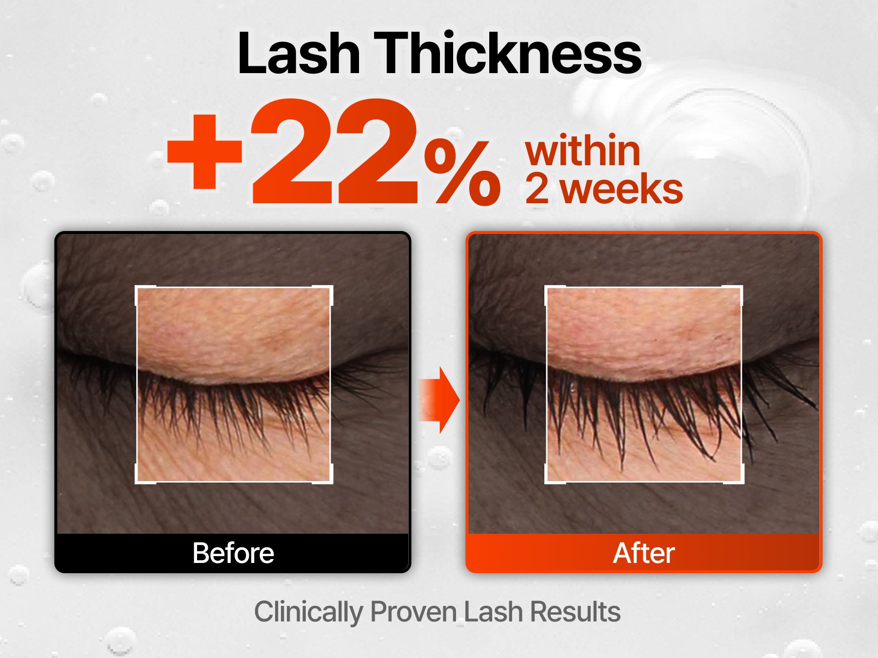 lilyeve Grow Turn Exosome Dual Lash Serum 8mL